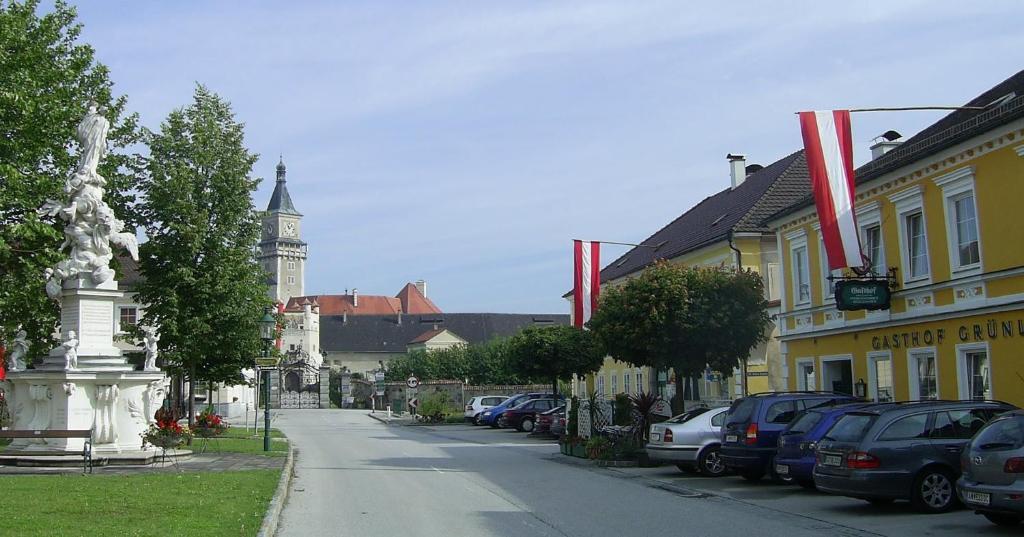 Gasthof Gruenling Wallsee Екстериор снимка